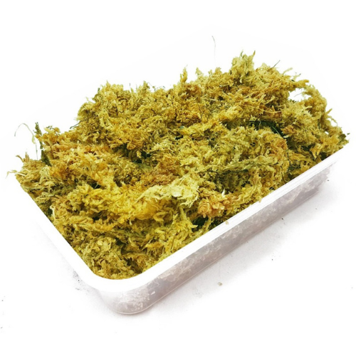 Repti-Zoo Chile's Sphagnum samanos – takinės samanos 4,5 l