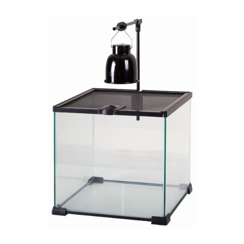 Repti-Zoo mini lempos laikiklis