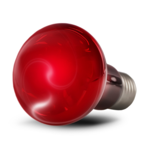 „Resun“ infraraudonųjų spindulių prožektorinė lempa 75 W – infraraudonųjų spindulių lemputė