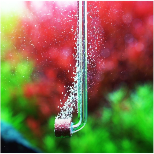 „Chihiros Nano“ CO2 difuzorius, mažas – akrilinis CO2 difuzorius