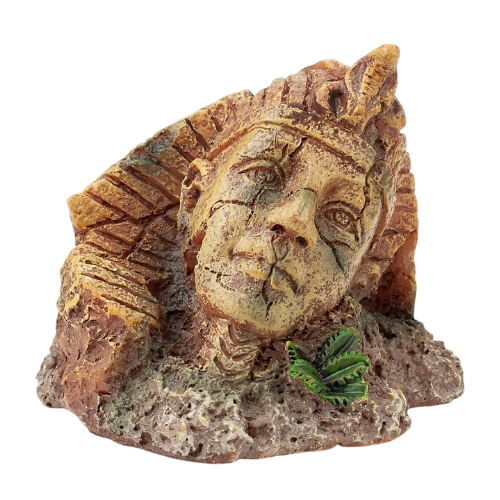 Akvariumo veido dekoracija 6 cm