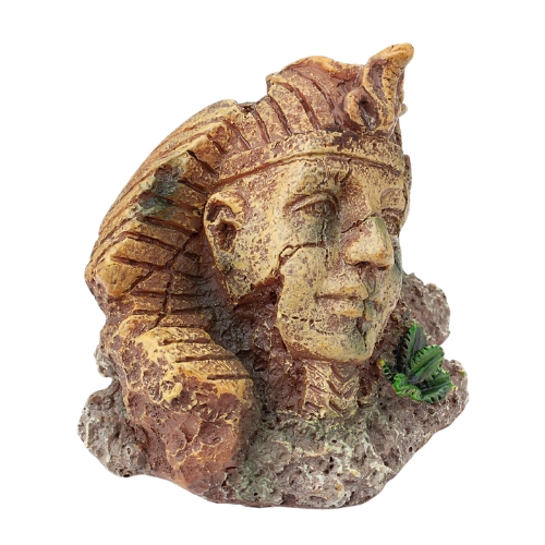 Akvariumo veido dekoracija 6 cm