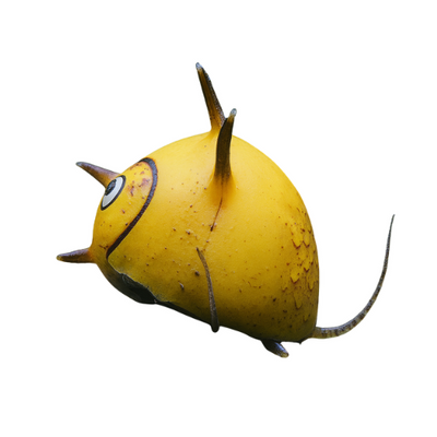 Clithon sp. Erškėtis