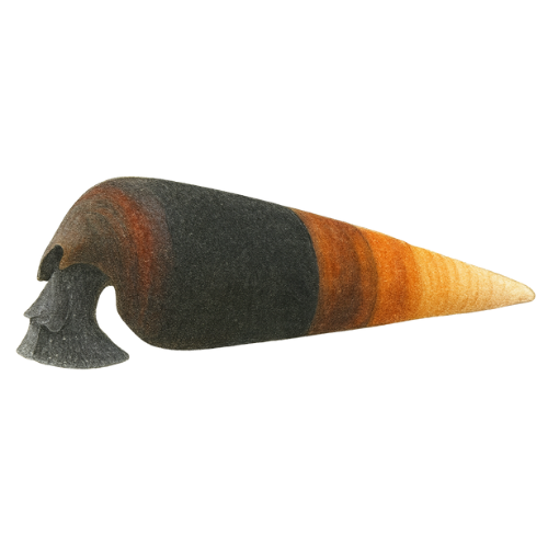 Faunus ater cappuccino sp.