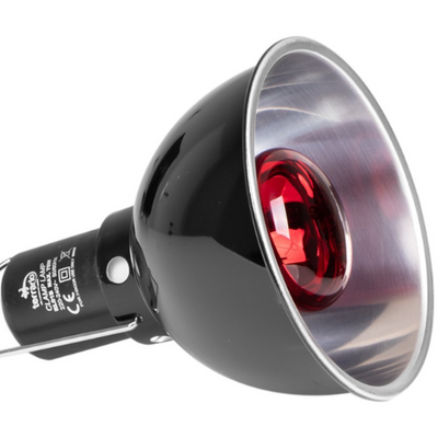 „Terrario Biosphere Light“ – šildymo lempučių laikiklis