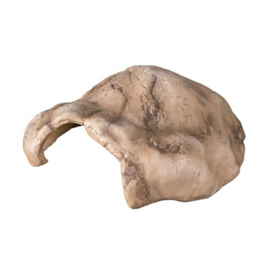 Repti-Zoo akmens-molio ola 21x15x9cm