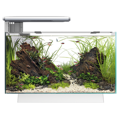 Quadro 40 Pro White