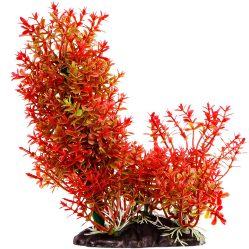 Kruger Meier dirbtinis raudonasis krūmas