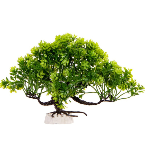 Kruger Meier Plant Zen Bosai - dirbtinis augalas 