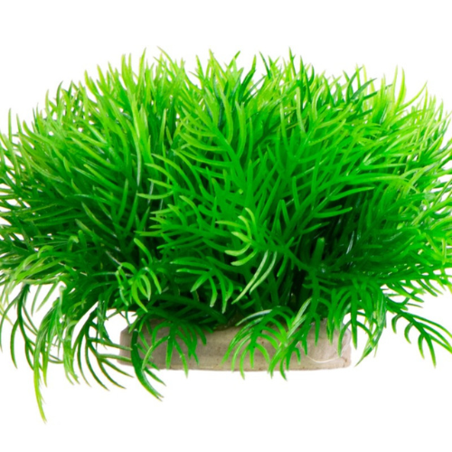 Kruger Meier dirbtinis augalas plonas žalias