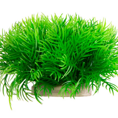 Kruger Meier dirbtinis augalas plonas žalias