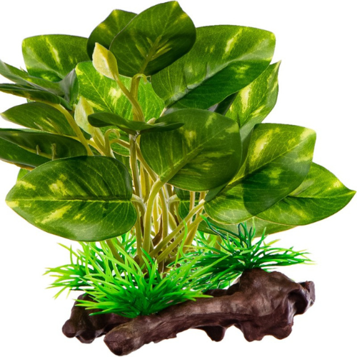 Kruger Meier dirbtinis fikuso šaknis