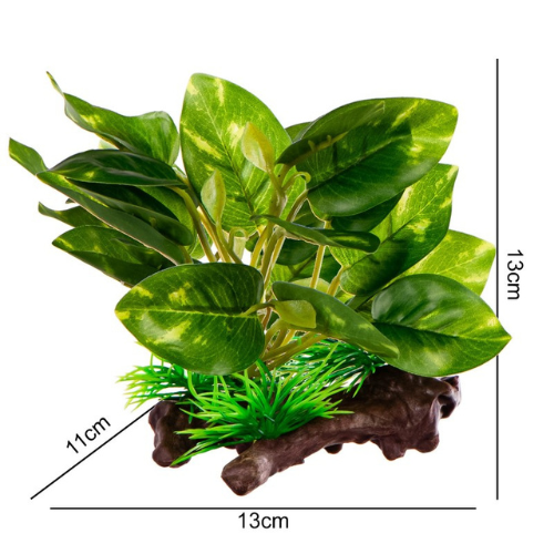 Kruger Meier dirbtinis fikuso šaknis