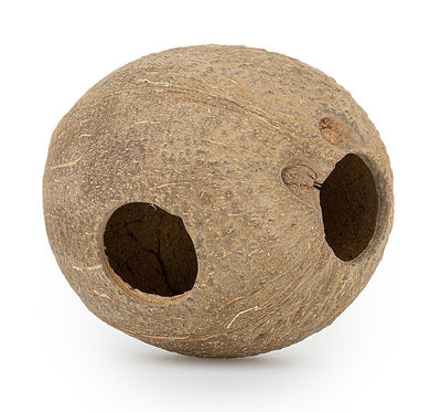 Kokoso kevalas Happet