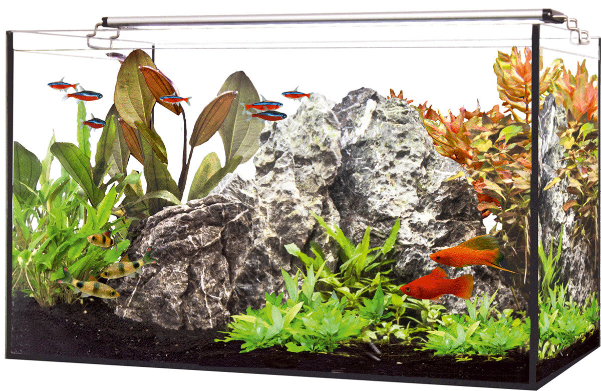 LED AQUARIUM 60 Happet