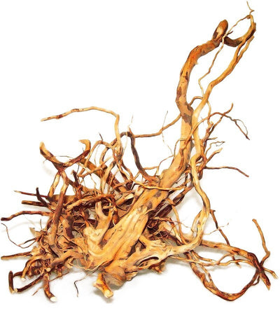 Raudonojo pyrėjo šaknis, kg Happet