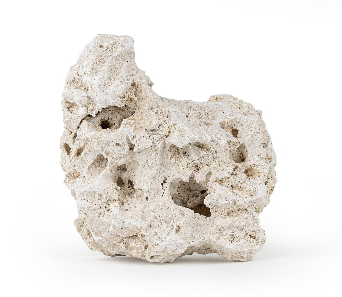 REEF ROCK L 20-25 cm 1kg