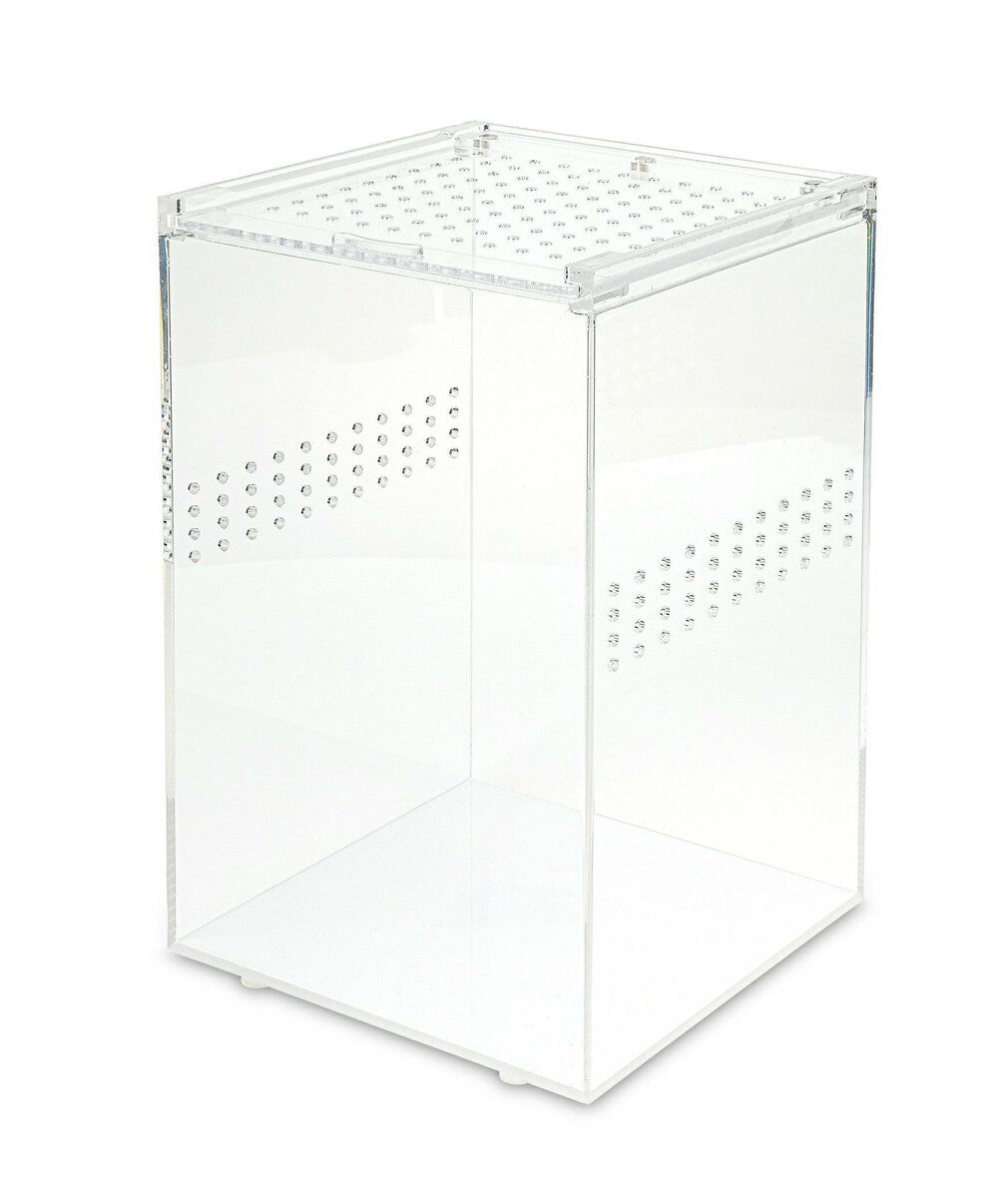 Akrilo terariumas 15x15x23cm