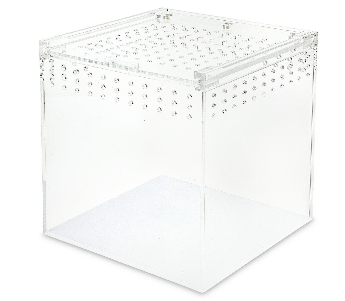 Akrilo terariumas 20x20x20cm