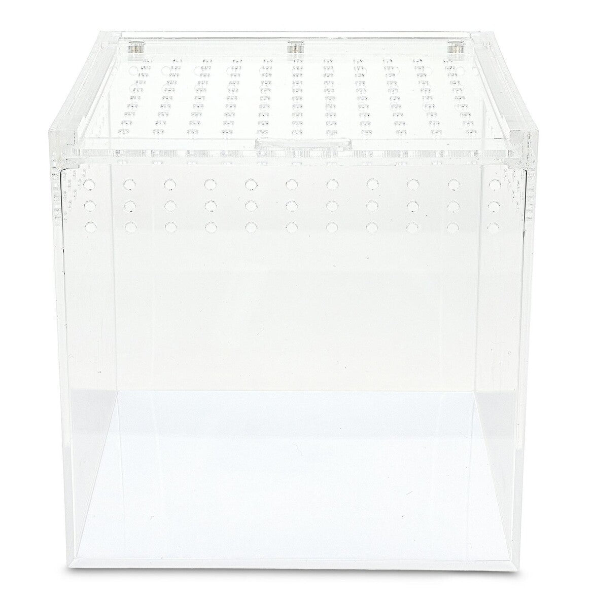 Akrilo terariumas 20x20x20cm