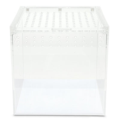 Akrilo terariumas 20x20x20cm